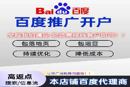 高效百度推广案例解析及优化策略