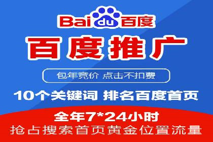 案例研究：如何通过竞价广告实现精准营销